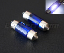 Pack de 2 lâmpadas tubulares/festoon halogéneo - Branco Xénon - 31mm (10W)