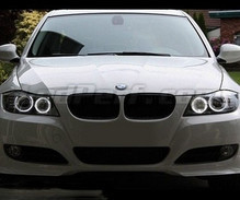 Pack angel eyes a LEDs para BMW Série 3 (E90 - E91) Fase 2 (LCI) - com xénon de fábrica - Standard