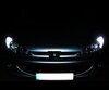 Pack luzes de presença a LED (branco xénon) para Peugeot 206