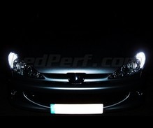 Pack luzes de presença a LED (branco xénon) para Peugeot 206