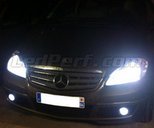 Pack lâmpadas para faróis Xénon Efeito para Mercedes Classe A (W169)