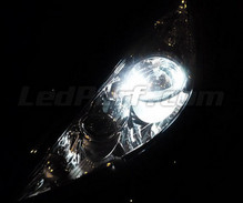 Pack de luzes de presença de LED (branco xénon) para Peugeot 207