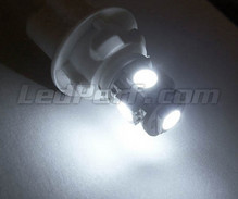 Pack de luzes de presença de LED (branco xénon) para Toyota Rav4 MK3