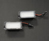 Pack de 2 módulos LED para chapa de matrícula traseira FORD (tipo 1)