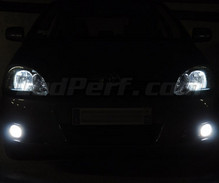 Pack lâmpadas para faróis Xénon Efeito para Toyota Corolla E120