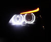 Pack angel eyes LEDs para BMW Série 5 E60 E61 Fase 2 (LCI)  - com xénon de fábrica - MTEC V3.0