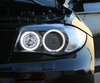 Pack Angel Eyes de LEDs (branco puro) para BMW Série 1 2ª fase - MTEC V3.0