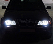 Pack lâmpadas para faróis Xénon Efeito para BMW Serie 3 (E46)