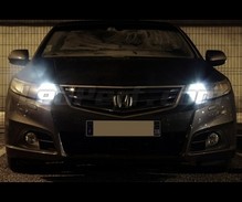 Pack de luzes de presença de LED (branco xénon) para Honda Accord 8G