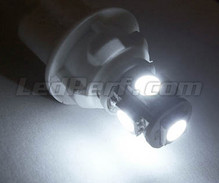 Pack de luzes de presença de LED (branco xénon) para Chevrolet Corvette C6