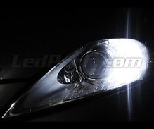 Pack de luzes de presença de LED (branco xénon) para Ford Mondeo MK4
