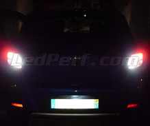 Pack LEDs (branco 6000K) luzes de marcha atrás para Dacia Sandero 2