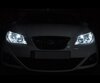 Pack de luzes de presença (branco xénon) para Seat Ibiza 6J