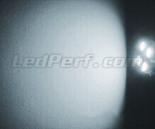 Pack de luzes de presença de LED (branco xénon) para Volvo C70