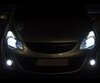 Pack lâmpadas para faróis Xénon Efeito para Opel Corsa D