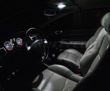 Pack interior luxo full LEDs (branco puro) para Peugeot 307