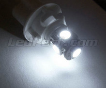 Pack de luzes de presença de LED (branco xénon) para Nissan Cube