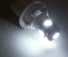 Pack de luzes de presença de LED (branco xénon) para Kia Sorento 1