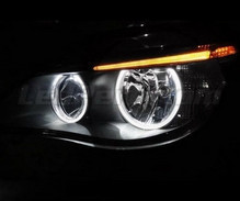 Pack Angel Eyes de LEDs BMW Série 5 E60 E61 2ª fase (LCI) - Sem xénon de fábrica