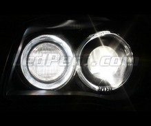 Pack lâmpadas luzes direcionais Xénon Efeito para BMW Serie 1 (E81 E82 E87 E88)