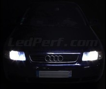 Pack lâmpadas para faróis Xénon Efeito para Audi A3 8L